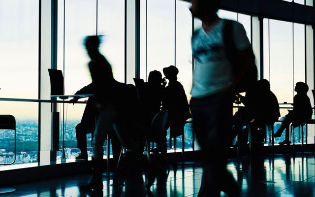 Global profiles of the fraudster